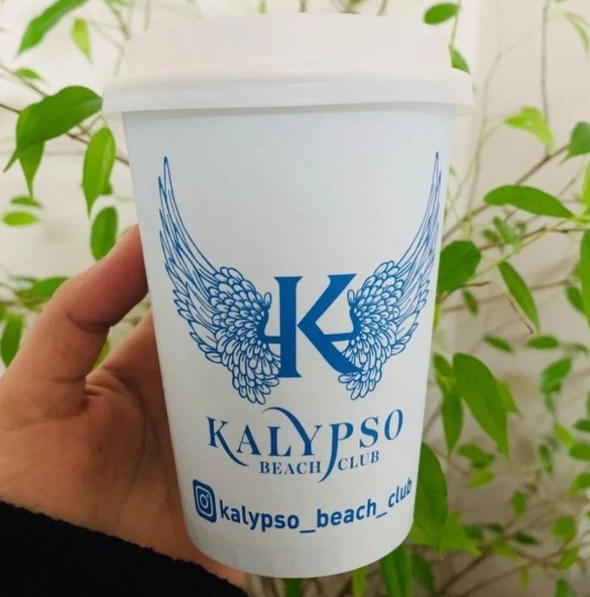 Toptan Baskılı Karton Bardak Üreticisi